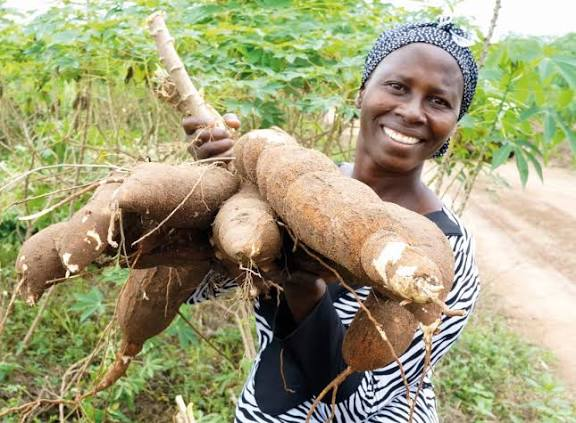 Farmfusion Market Admin promo