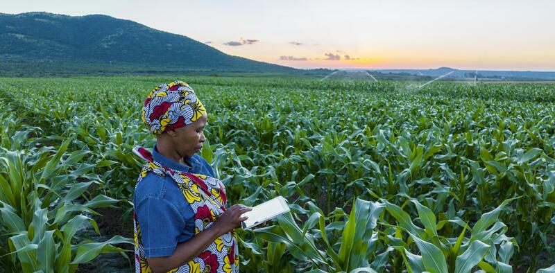 How Digital Agriculture Is Transforming Farming in Nigeria