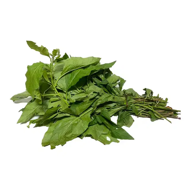 Bitter Leaf - Unwashed