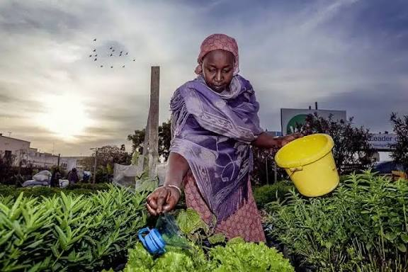 Farmfusion Market Admin promo